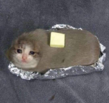 1726679849760.png
