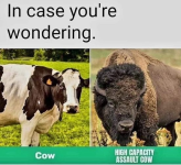 1726701285393.png