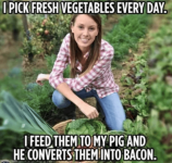 1726719011449.png
