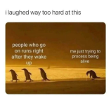 1727062673475.png