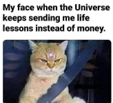 1727200048089.png