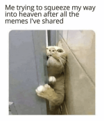 1727296323909.png