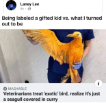Screenshot_20240927-181328.png
