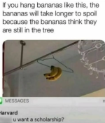 Screenshot_20241008-195838.png