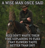 1728703853422.png