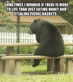 1728866162714.png