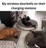 1728929956015.jpeg