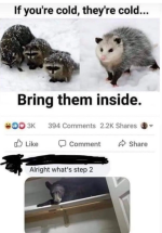 Screenshot_20241026-063017.png