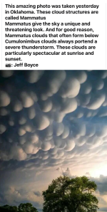 Screenshot_20241026-063040.png