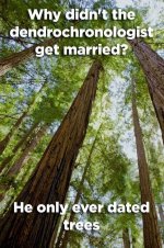 why-didnt-dendrochronologist-get-married-he-only-ever-dated-trees.jpg