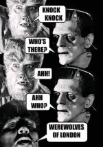knock-whos-there-knock-ahh-ahh-who-werewolves-london.jpg