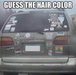 1730473867144.jpeg