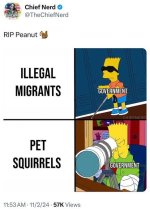 1730577799292.jpeg