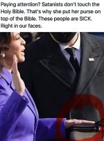 1730605800771.jpeg
