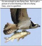 1730681199057.png