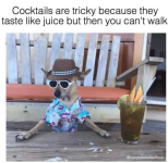 1731017017349.png