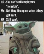1731592143664.jpeg