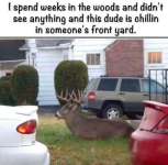 1731613072186.png