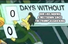 1731677732456.jpeg