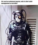 such-an-advanced-species-why-is-their-cable-management-so-terrible.jpeg