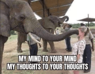 my-mind-mind-my-thoughts-thoughts.png