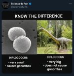 77959ccc4e6bf0e7589ab40af5958f2f.jpeg