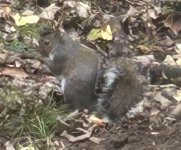 IMG_0286.jpeg