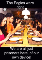 1732499244340.png