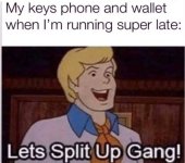 1732534687013.jpeg