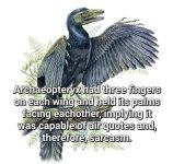 on-each-wing-and-held-its-palms-facing-eachother-implying-capable-air-quotes-and-therefore-sa...jpeg