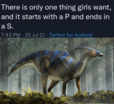 is-only-one-thing-girls-want-and-starts-with-p-and-ends-s-743-pm-25-jul-21-twitter-android-mor...png
