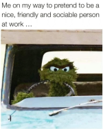 1733254560315.png