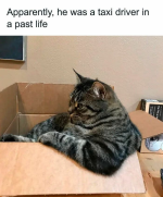 1733343425405.png