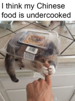 1733343496958.png
