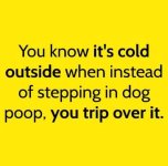 FB_IMG_1732658438703.jpg