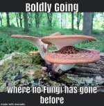 boldly-going-where-no-fungi-has-gone-before-made-with-mematic.jpg