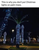 1733621754803.png