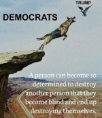1733934362275.png