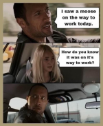 1734133469204.png