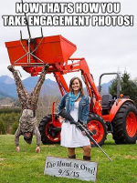 1734199301257.png