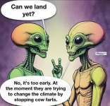 1734442040152.png