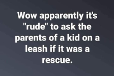 1734727734538.png