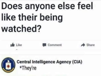 Screenshot_20241209-193932.png