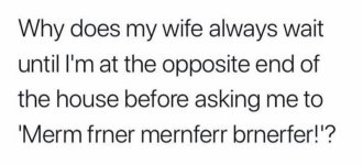 why-does-my-wife-always-wait-until-at-opposite-end-house-before-asking-merm-frner-mernferr-brn...jpg