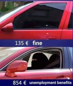 1735821263744.jpeg