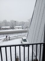 IMG_20250110_160038.jpg