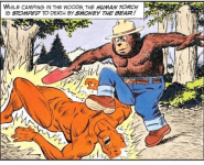 while-camping-woods-human-torch-15-stomped-death-by-smokey-bear.png