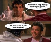 thanksgiving-puns-expect-quit-cold-turkey-captain-kink-man-myth-legend-captain-kink-man-myth-l...jpg
