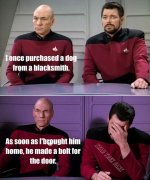 once-purchased-dog-blacksmith-as-soon-as-him-home-he-made-bolt-door-star-trek-fans.jpg