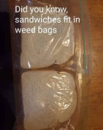 1737339988831.png